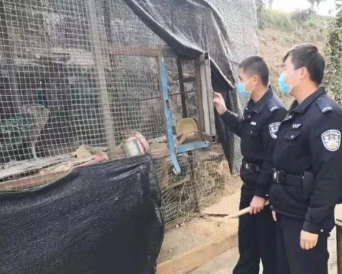 內地近月積極打擊野味範圍,多次破獲野味非法交易案件。網圖
