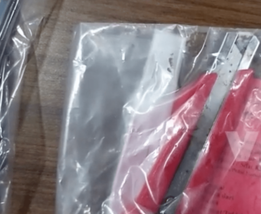 女疑犯用美工𠝹刀狠割受害人的生殖器。Viral Press影片截圖 女疑犯用美工𠝹刀狠割受害人的生殖器。Viral Press影片截圖