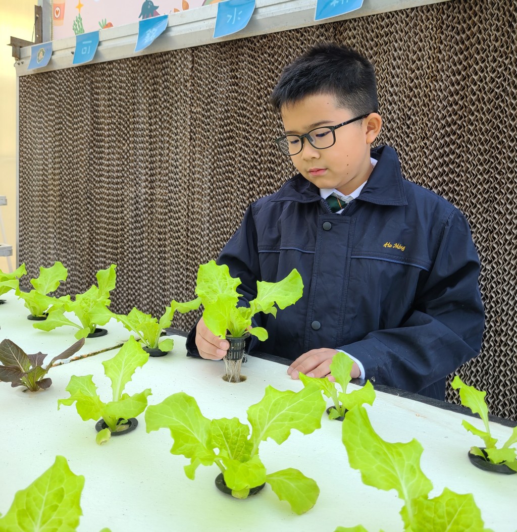 就讀嗇色園主辦可銘學校四年級的黃威瑋同學覺得水耕室智能化後，種植變得更方便簡單。