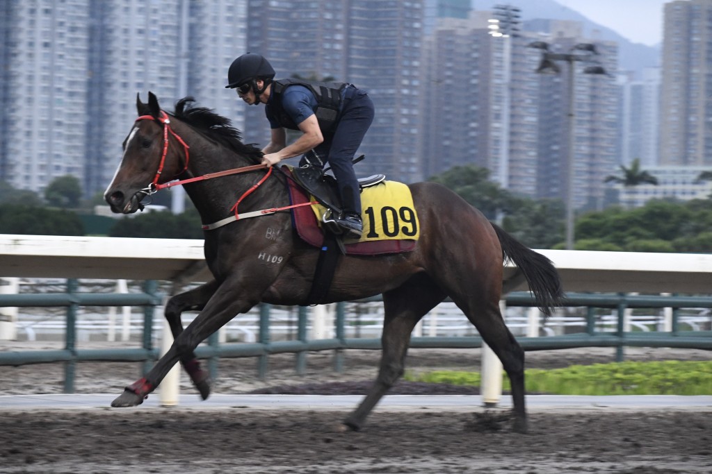 「超超比」由巴度過檔，騎者落馬後，同沈集成傾談時更不斷笑笑口。