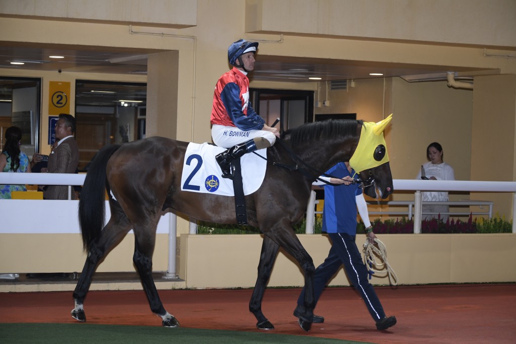 「赤馬雄風」狀態已操好，今仗有力爭勝。