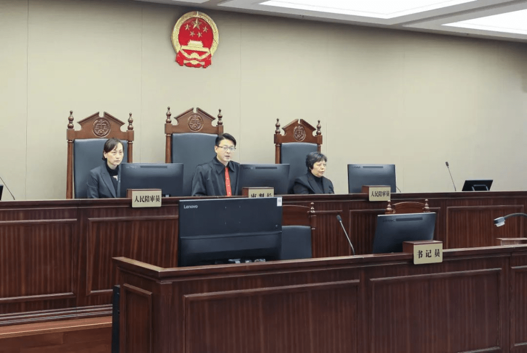 假冒「靳东」诈骗案，法院作判决。