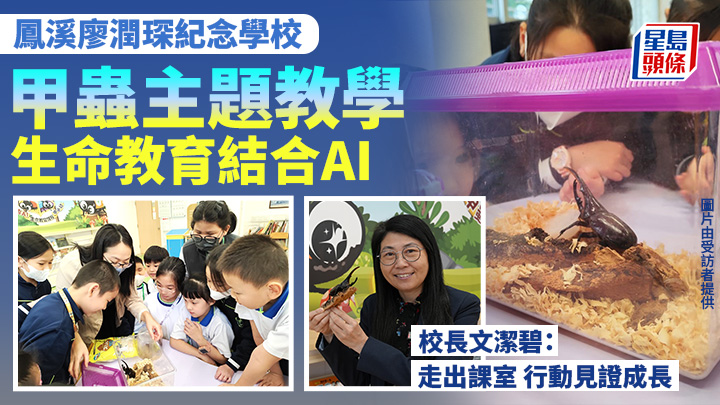 鳳溪琛小甲蟲主題教學 生命教育結合AI 校長：走出課室 行動見證成長｜專訪