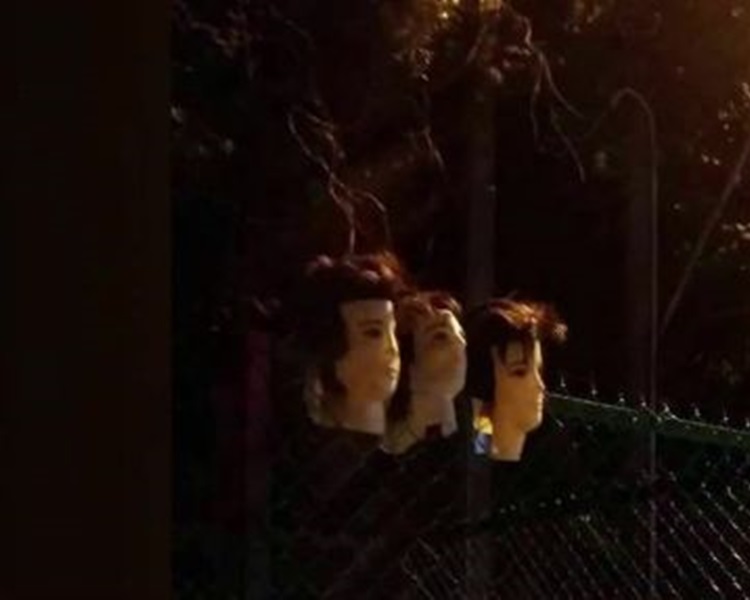 台高速公路驚現「人頭」。網上圖片