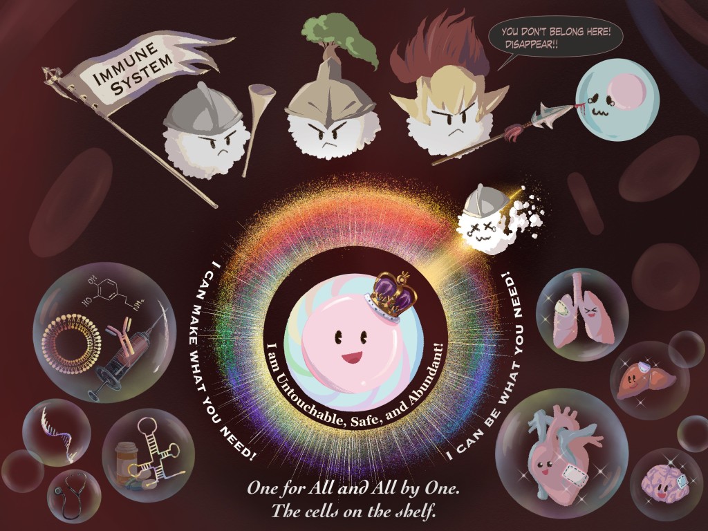 「移植安全細胞」(FailSafe- AlloAccept)的新型基因編輯人類胚胎幹細胞，可隱藏自身免被辨識。港大醫學院提供