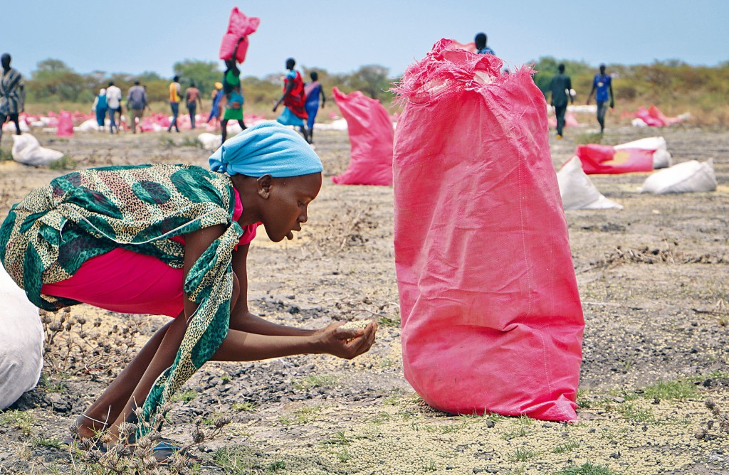 ■世界粮食计划署二○一八年向南苏丹坎达克镇空投粮食，一名妇人捡起落在地上的谷物。