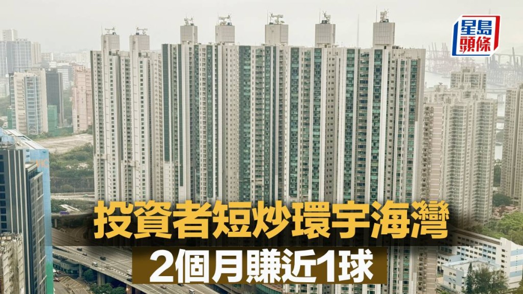 投資者短炒環宇海灣 2個月賺近1球