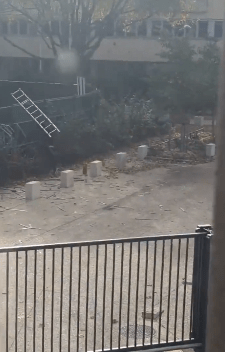 網友錄到黃金實驗室外面的情況。X@war_noir 網友錄到黃金實驗室外面的情況。X@war_noir