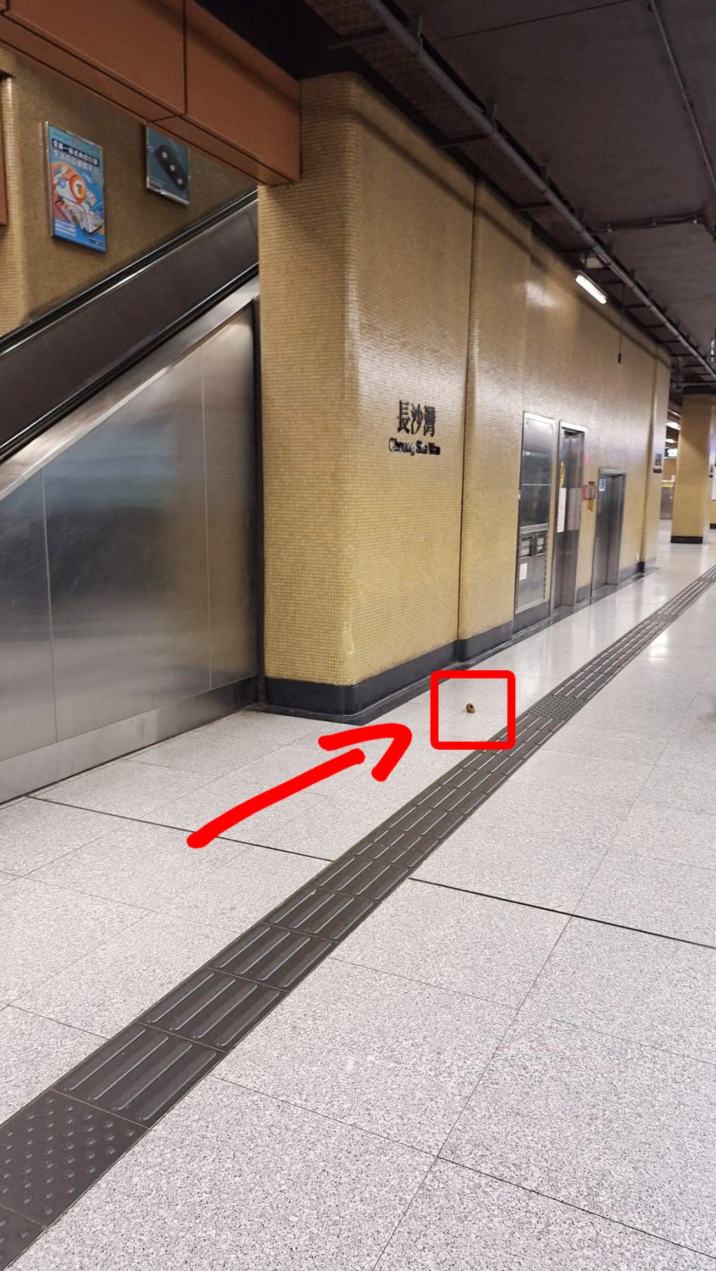 有網民拍到長沙灣港鐵站月台竟有大大嚿「糞便」。