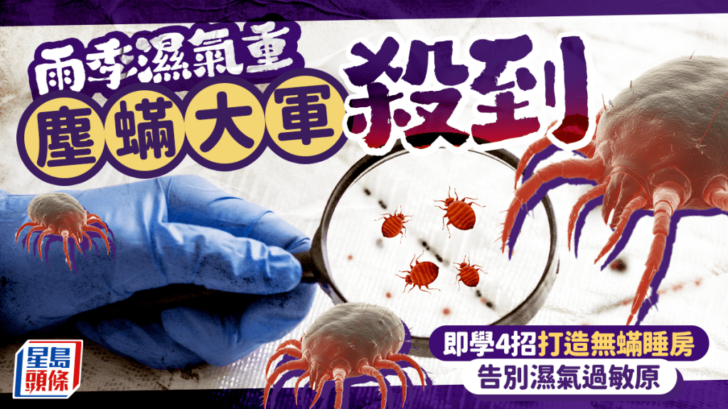 雨季濕氣逼人、塵蟎大軍殺到！家事達人教4招打造無蟎睡房 告別濕氣過敏原