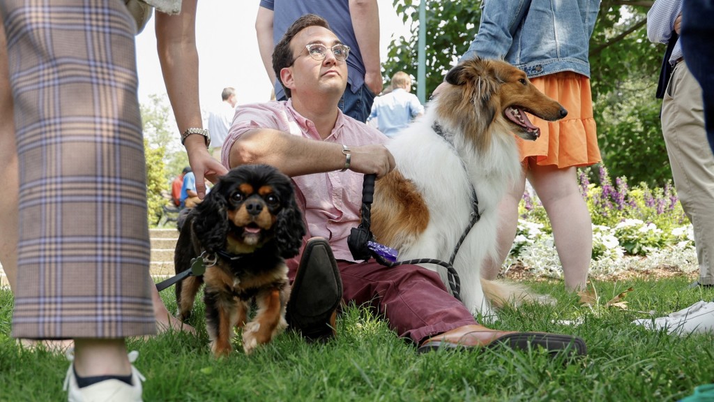 國會山莊歡迎職員帶狗上班，有職員帶同愛犬疏散。 路透社
