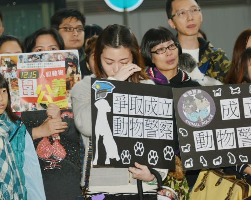 近來社會不少聲音要求政府正視虐殺動物事件。 資料圖片