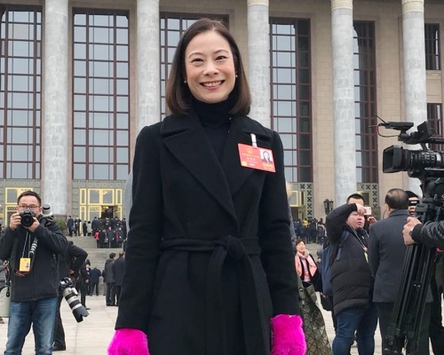 陳曼琪說,將提交書面建議,設立公職人員選舉及委任的資格審查法。資料圖片