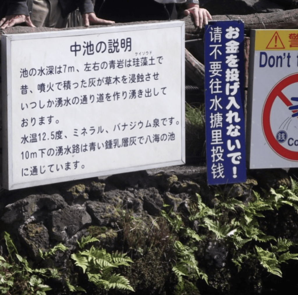 有大量遊客無視池邊警告牌。網上圖片 