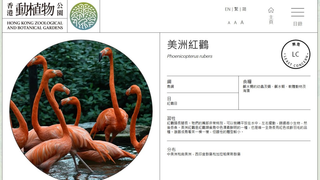 有港女早前便把場內的美洲紅鸛拍攝得勁 靚,向網民推介這個免費入場的好地方。「香港動植物公園」官方網站截圖 有港女早前便把場內的美洲紅鸛拍攝得勁 靚,向網民推介這個免費入場的好地方。「香港動植物公園」官方網站截圖