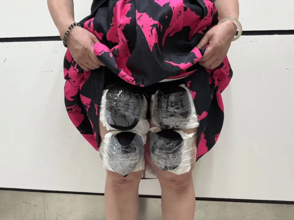 大妈走私团宽松裙子下暗藏濒危活龟。 海关发布