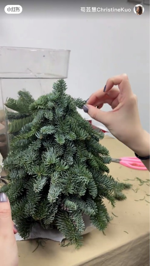 苟芸慧一手一腳自製聖誕樹。