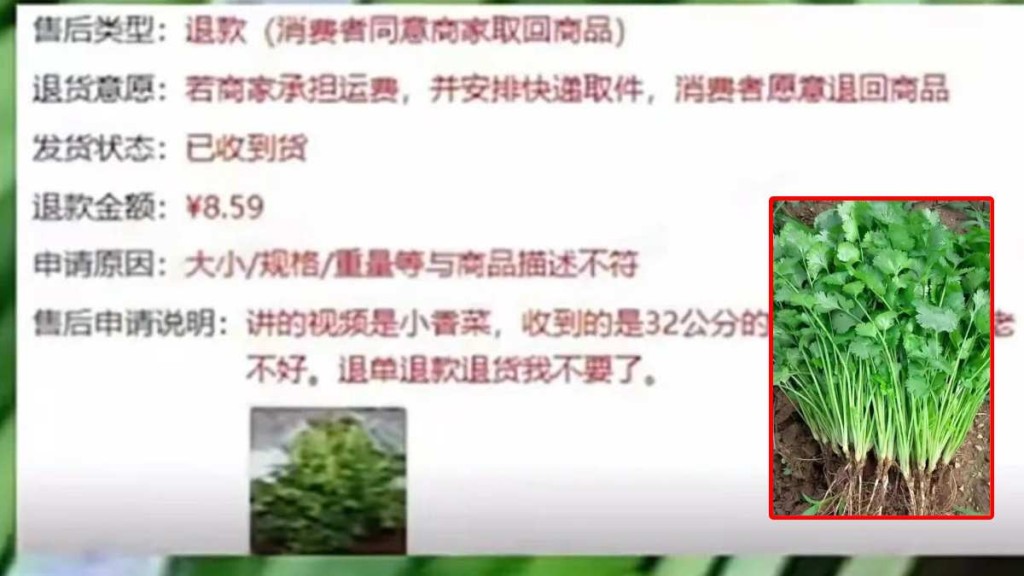 徐州店家不滿上海有客戶對¥8.59芫荽申請「僅退款」，開車千里親自取回。
