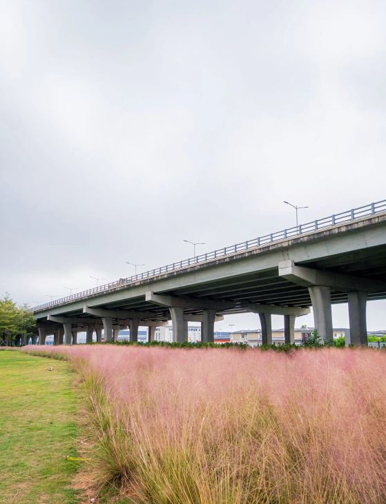 紅山公園