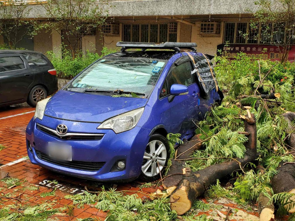 樹枝打中私家車車身致凹陷。