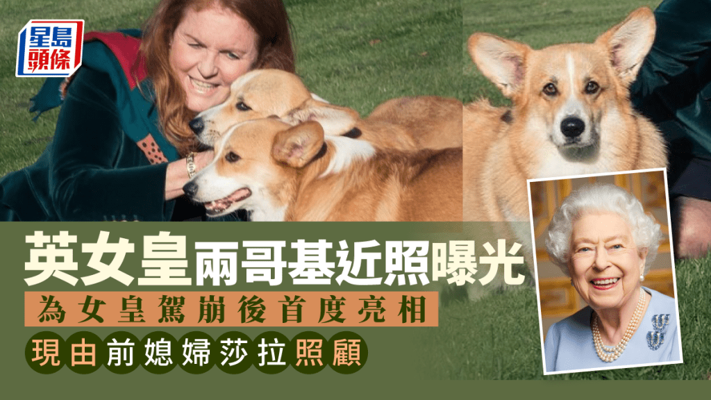 莎拉分享英女皇所養的兩隻哥基的新照片。網圖