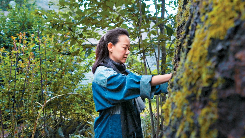 參與「樹體驗」,感受一刻平靜。 參與「樹體驗」,感受一刻平靜。
