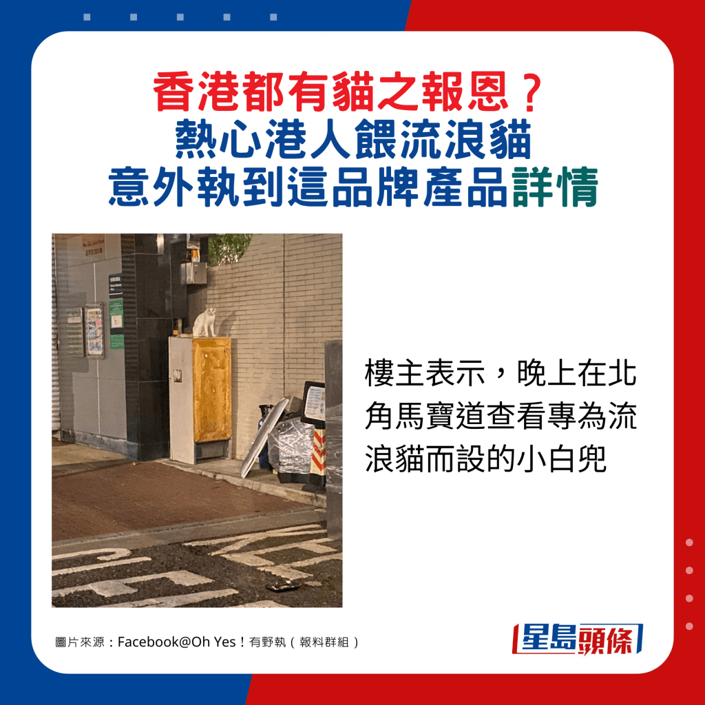 樓主表示，晚上在北角馬寶道查看專為流浪貓而設的小白兜