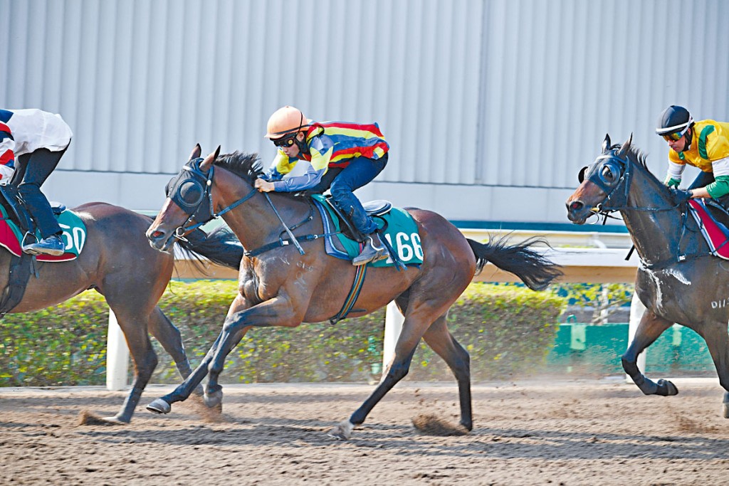 「天足貓」今晚落到五班，同場對手面目全非，乃贏馬出頭的好機會。
