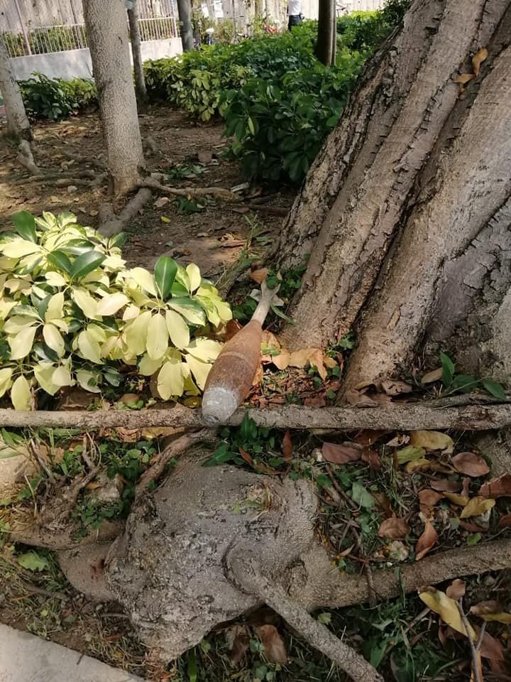 龍門居FB圖片