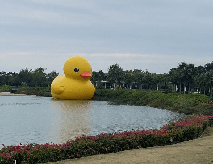 巨型大黃鴨「游」到深圳灣，現身深圳人才公園。