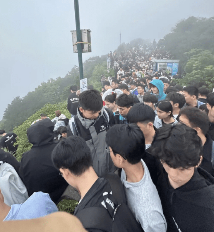五一梧桐山。小红书
