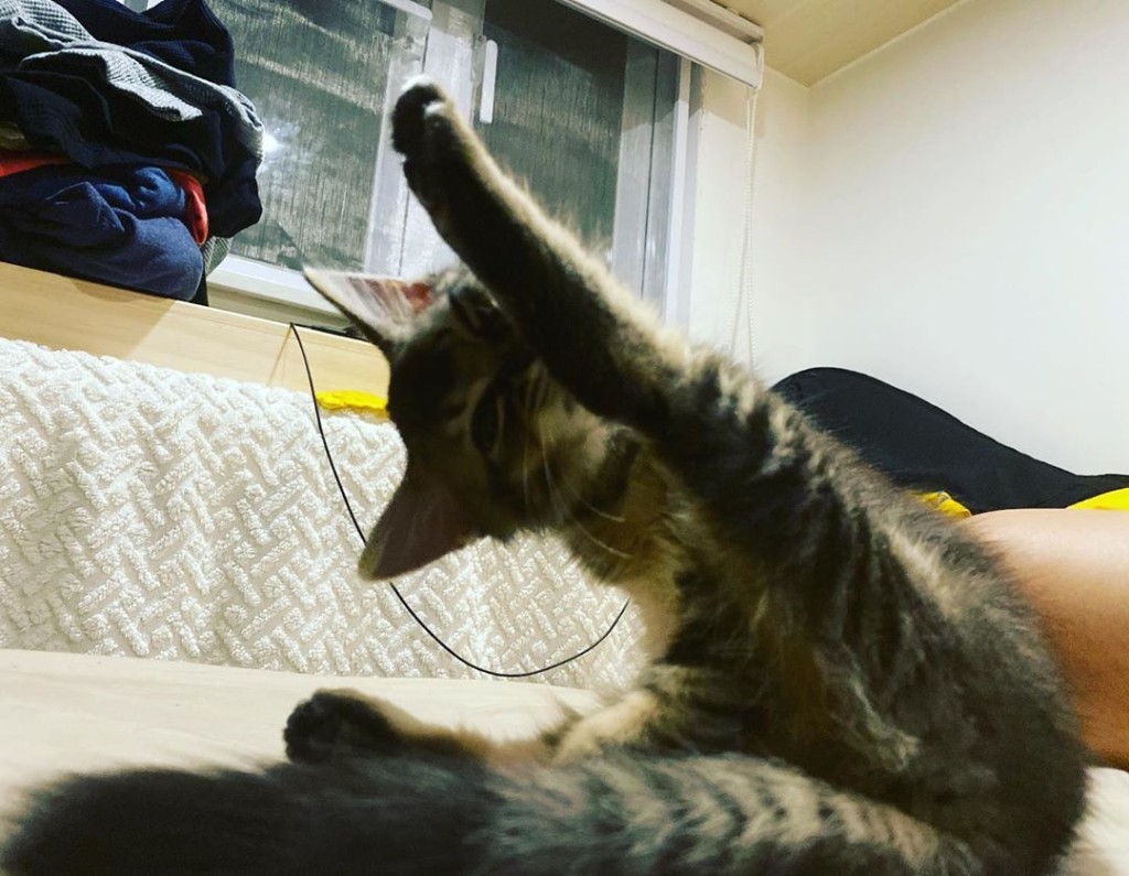 坤哥分享主子RABU踢腿甫士靚相。