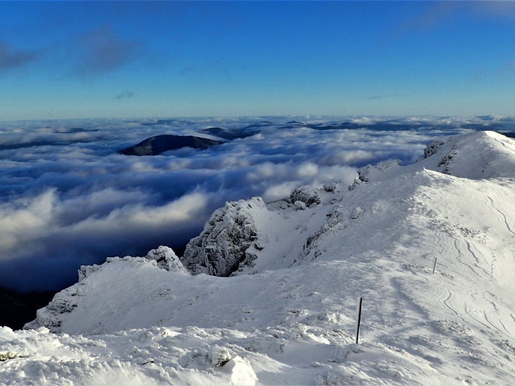 博貢山是維多利亞州最高峰，雪景美不勝收。維州官網