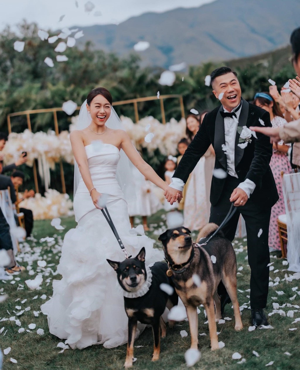 爱犬更现身于婚礼上。