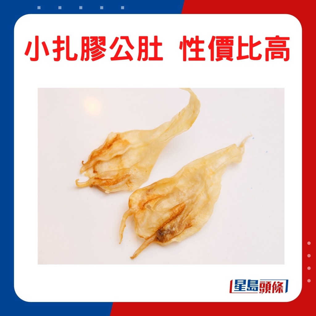 小扎膠公肚