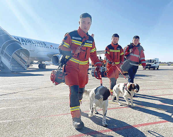消防搜救犬Umi（前）及Twix（后）随队前赴土耳其，协助搜救行动。