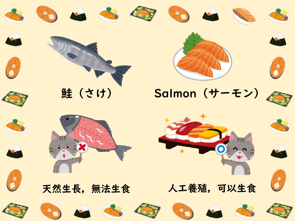 在日文當中「鮭」是指野生生長的三文魚。「日台交流協會」facebook圖片