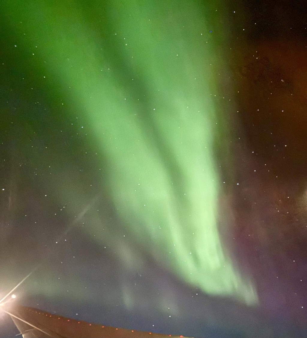 Threads截圖(資料來源:elaine9289@Threads) Threads截圖(資料來源:elaine9289@Threads)