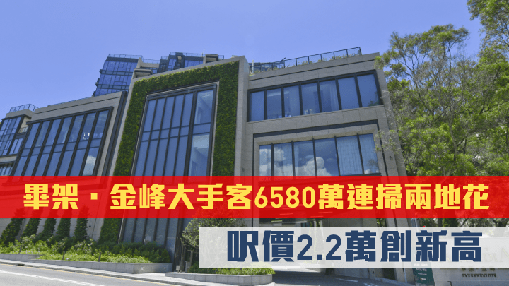 畢架.金峰2個單位均由同一組買家斥逾6580.2萬購入自住。