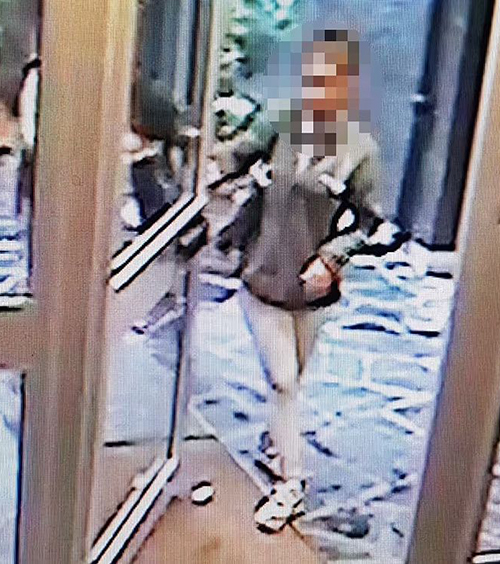 閉路電視顯示受害女生跟隨穿灰色衫的疑兇進入一棟大廈。