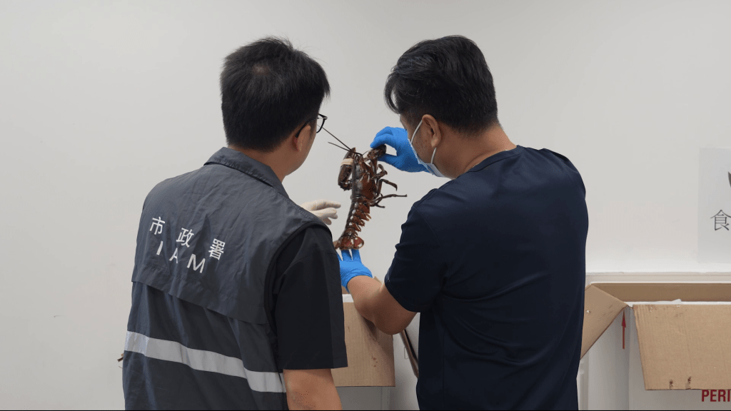 鮮活食品確認無誤後直送往收貨人。