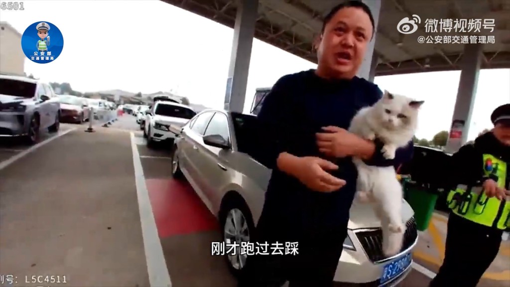 貓咪最終解鎖車門。微博@公安部交通管理局