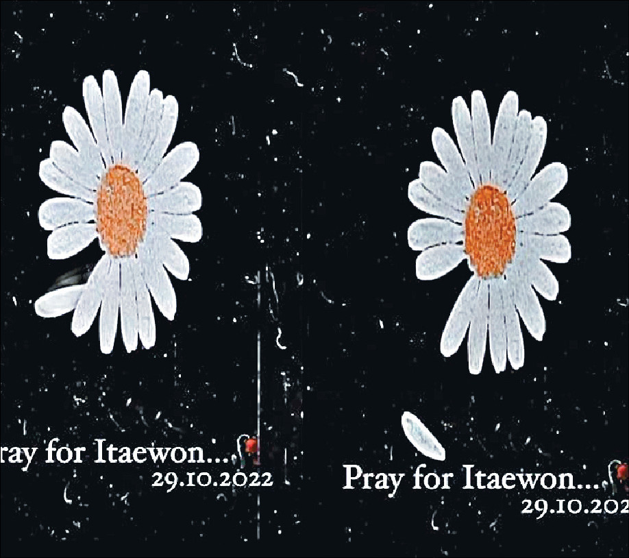 ■GD以品牌的雛菊圖案悼念梨泰院死難者，卻惹來爭議。