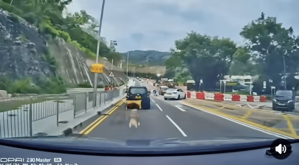 昨日一輛私家車在將軍澳影業路與集福路交界行駛期間,在轉彎時懷疑失控。fb@車cam L(香港群組)(下同) 昨日一輛私家車在將軍澳影業路與集福路交界行駛期間,在轉彎時懷疑失控。fb@車cam L(香港群組)(下同)