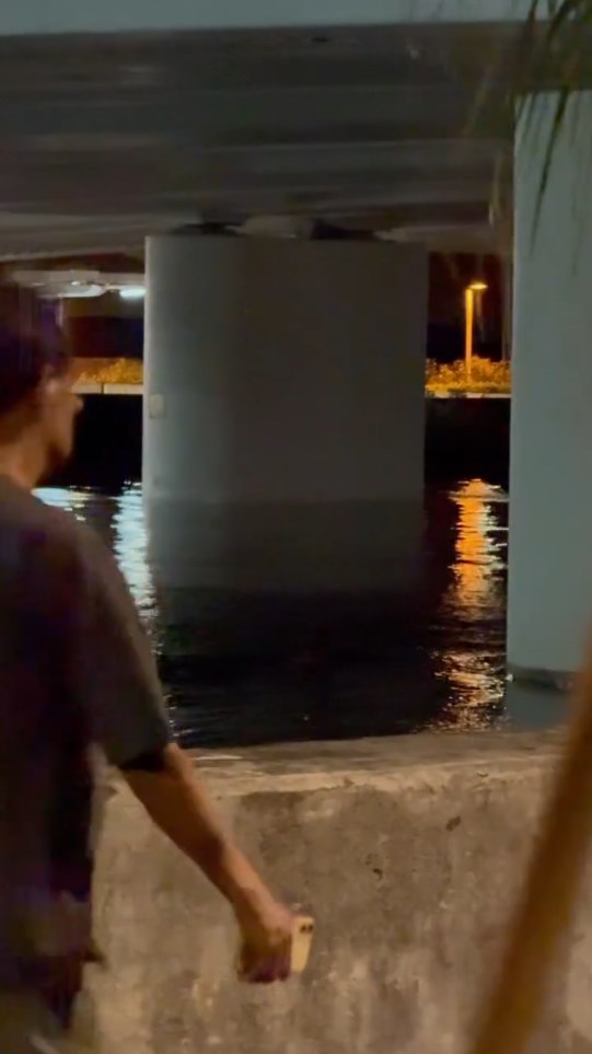 Threads截圖（資料來源：kenneth_llm＠Threads）