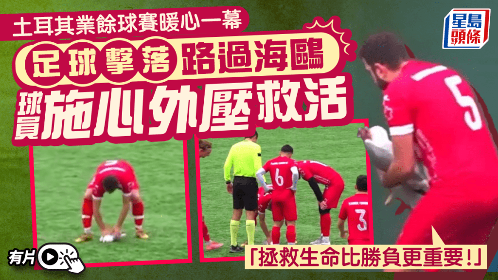 有片｜土耳其業餘球賽現暖心一幕 海鷗遭足球擊中暈倒 球員心肺復甦救回