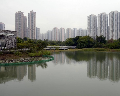 濕地公園。資料圖片