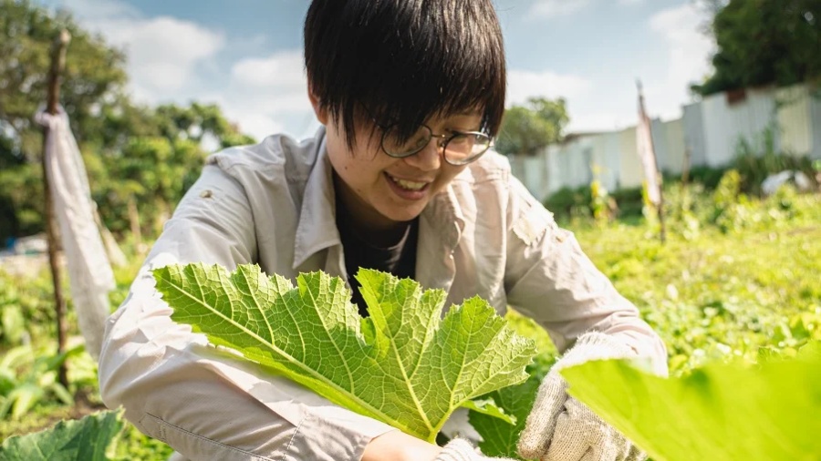 譚穎琳倡議政府應推動重用文化。資料圖片