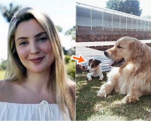 巴西第一夫人馬塞拉跳湖救回愛犬「皮科利」(箭咀示)。網圖