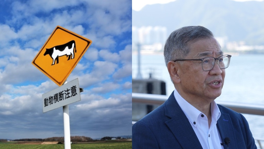港婦北海道車禍亡｜日港均右軚惟路況大不同 專家官方同倡兩人輪流駕駛